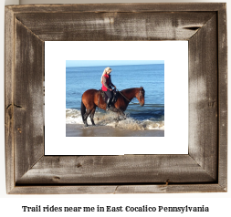 trail rides near me in East Cocalico, Pennsylvania